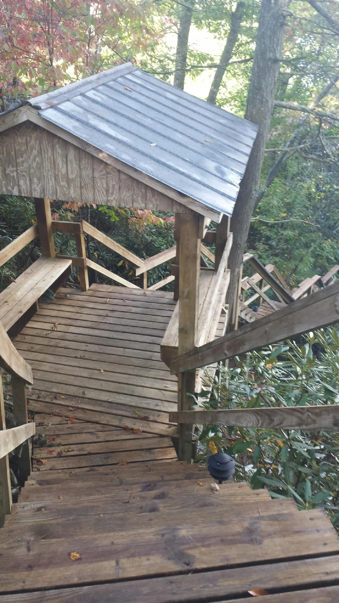 Metal roofed shelter over wooden steps on a wooded walkway — Skylight Repair & Installation work by our crew in Briggs