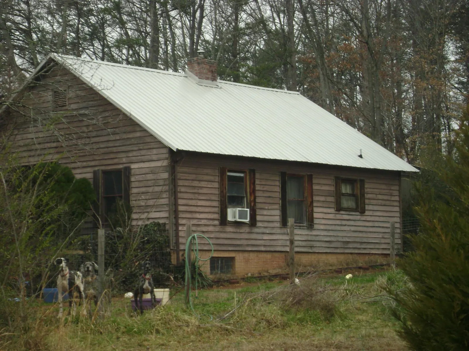 White metal roof on an old wood sided farmhouse, from a Asphalt Shingle Roof Repair job in Briggs